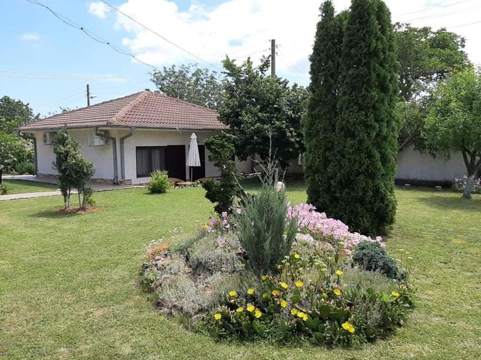 Guesthouse Oasis-Shabla Esterno foto